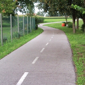 2545.jpg