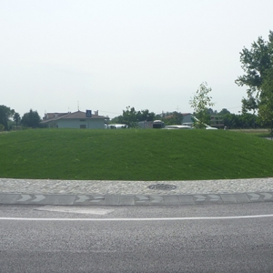 P1010793.jpg