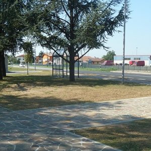 P1020309.jpg