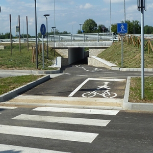 P1110258.jpg