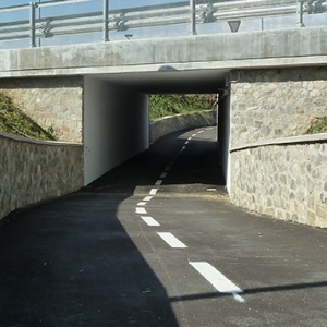 P1110274.jpg