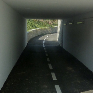 P1110275.jpg